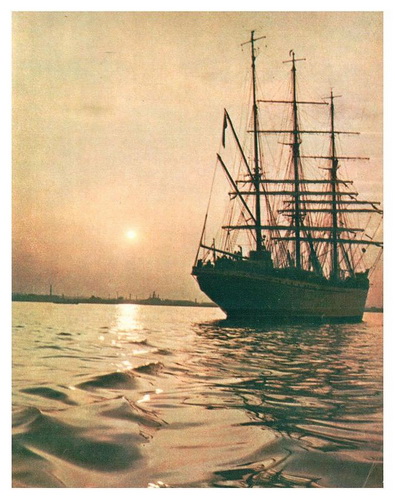 Tovarish_Odessa.jpg