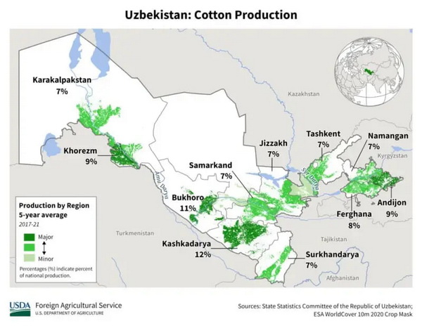 uzbek_cotton_новый размер.jpg