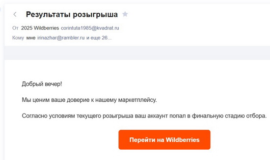 wildberriZ_новый размер.jpg