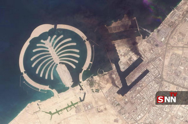 Dubai_scorpio_новый размер.jpg