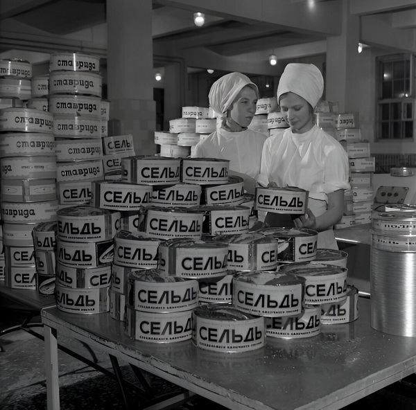 murmansk1971_новый размер.jpg